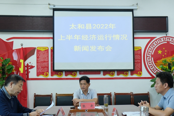 太和最新新闻动态更新✨