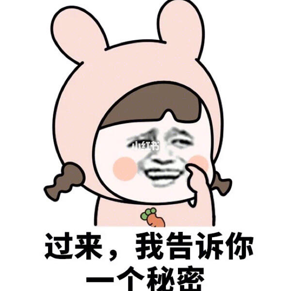 揭秘2024最新套路表情，小趣事背后的情感纽带
