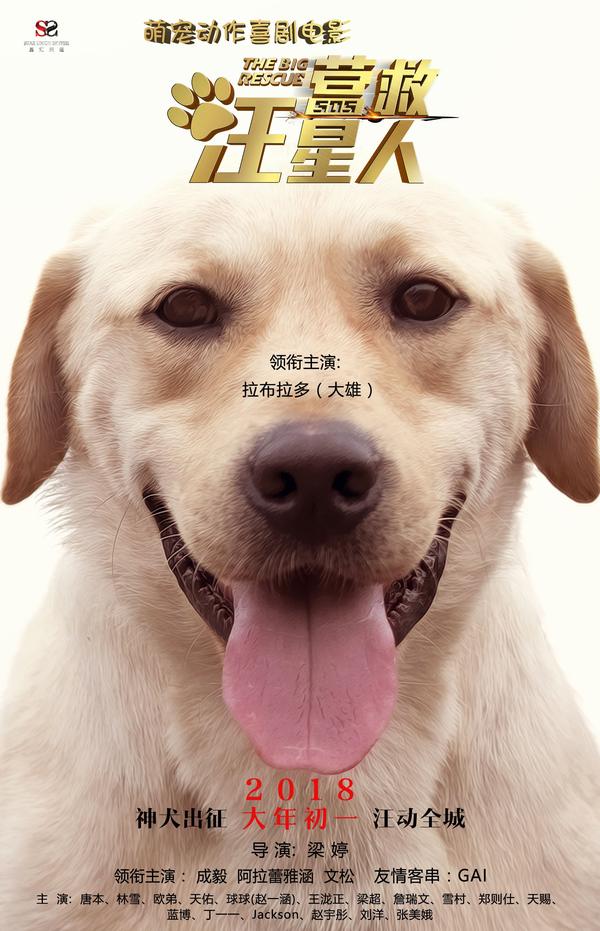 大狗狗影视最新地址，友情的纽带与家的温馨体验新视界