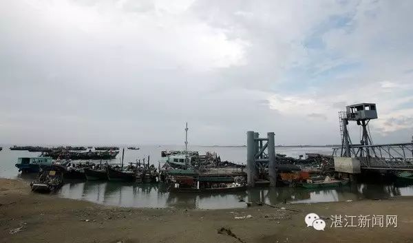 湛江南三岛最新新闻，探索自然美景之旅，寻找内心平静之旅