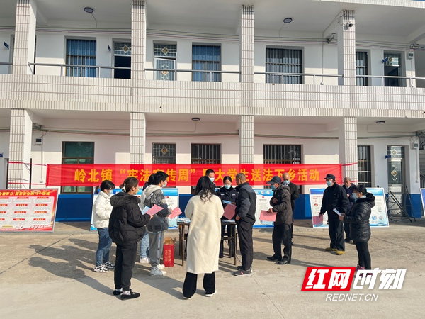 湘阴县岭北镇最新新闻，学习之光，筑梦未来