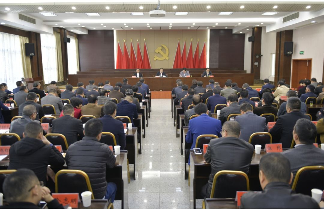桐庐县新任干部小杨上任记，温馨期待与深厚情感纽带的故事