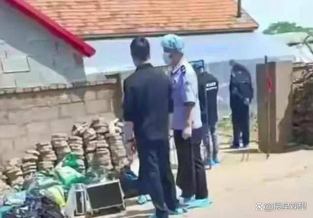 庄河之行，探寻宁静自然之际的惨案揭秘