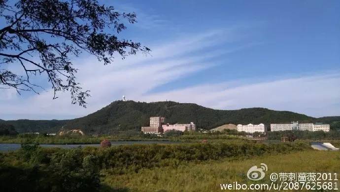 南涧最新案例,南涧最新案例，如何完成一项任务或学习新技能的详细步骤指南