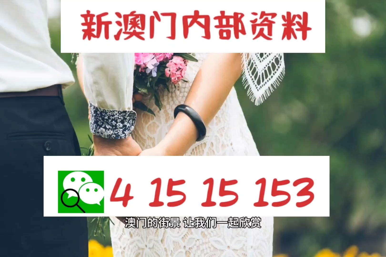 2024澳门精准正版图库,实地研究解答协助_DIY工具版2.349