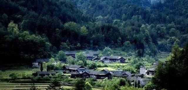 科技重塑养鸡新体验，最新养鸡贴分享