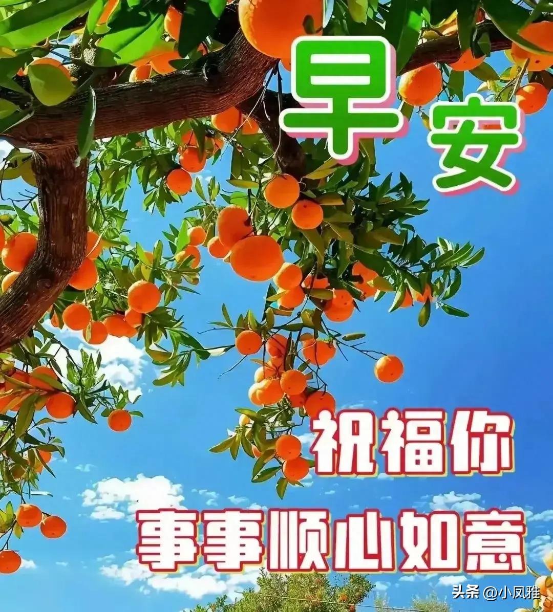2024年天天彩资料免费大全,实践数据分析评估_体验式版本19.209